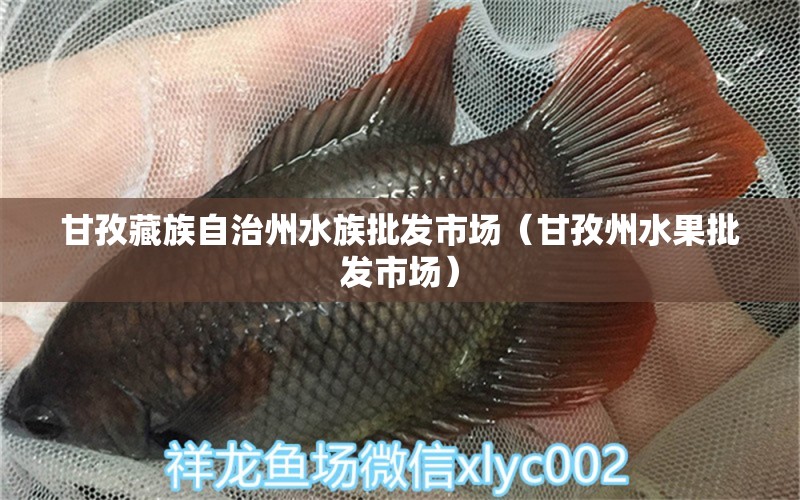 甘孜藏族自治州水族批發(fā)市場（甘孜州水果批發(fā)市場）