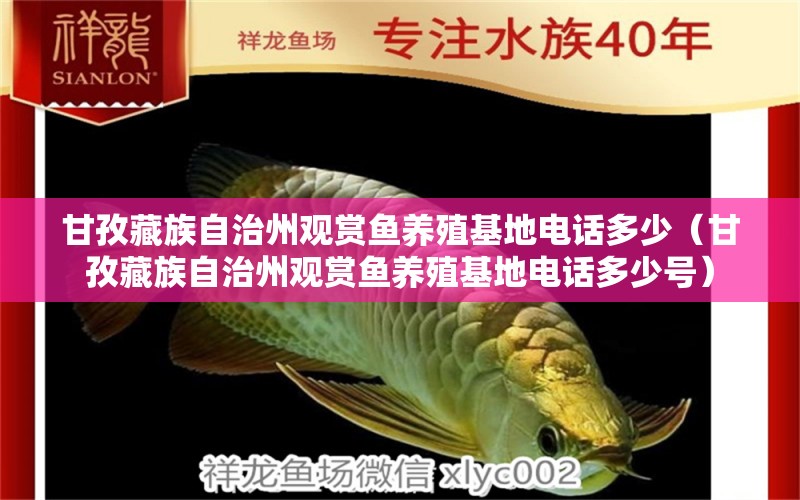 甘孜藏族自治州觀賞魚養(yǎng)殖基地電話多少（甘孜藏族自治州觀賞魚養(yǎng)殖基地電話多少號）