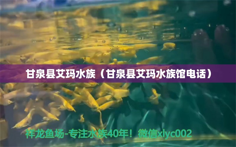 甘泉縣艾瑪水族（甘泉縣艾瑪水族館電話）