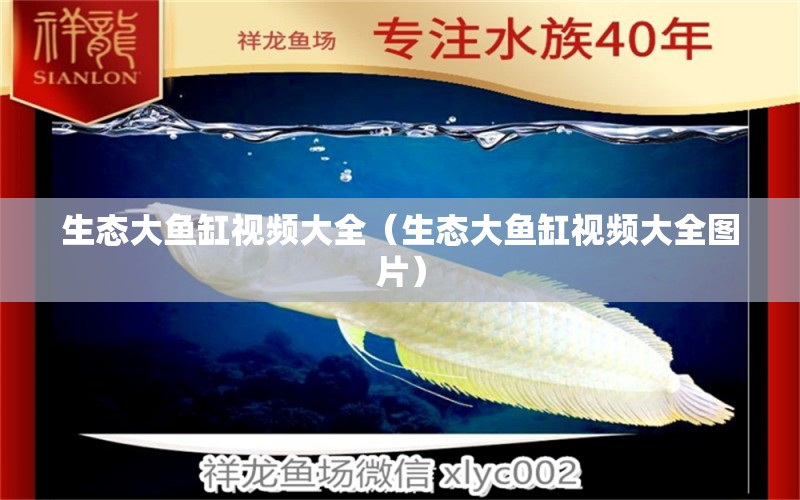 生態(tài)大魚缸視頻大全（生態(tài)大魚缸視頻大全圖片）