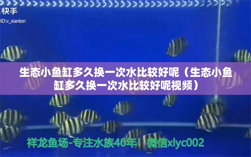 生態(tài)小魚缸多久換一次水比較好呢（生態(tài)小魚缸多久換一次水比較好呢視頻）