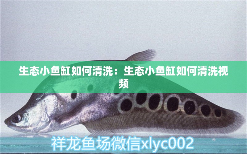 生態(tài)小魚缸如何清洗：生態(tài)小魚缸如何清洗視頻