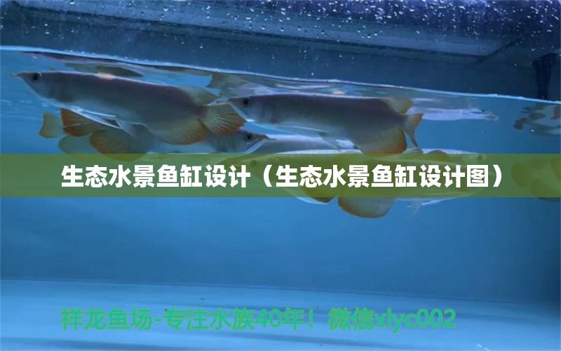 生態(tài)水景魚缸設(shè)計(jì)（生態(tài)水景魚缸設(shè)計(jì)圖）