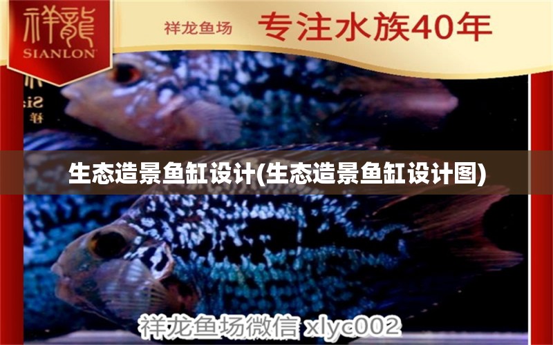 生態(tài)造景魚缸設(shè)計(jì)(生態(tài)造景魚缸設(shè)計(jì)圖) 白子銀版魚