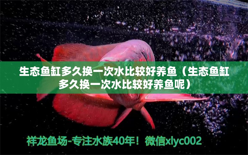 生態(tài)魚缸多久換一次水比較好養(yǎng)魚（生態(tài)魚缸多久換一次水比較好養(yǎng)魚呢）