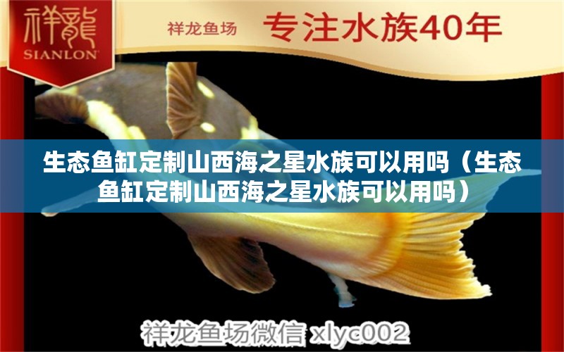 生態(tài)魚缸定制山西海之星水族可以用嗎（生態(tài)魚缸定制山西海之星水族可以用嗎）