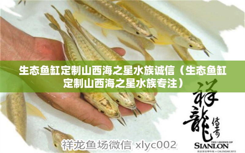 生態(tài)魚缸定制山西海之星水族誠信（生態(tài)魚缸定制山西海之星水族專注）