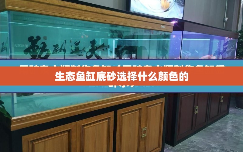 生態(tài)魚缸底砂選擇什么顏色的 水族問答 第1張