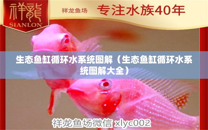 生態(tài)魚缸循環(huán)水系統(tǒng)圖解（生態(tài)魚缸循環(huán)水系統(tǒng)圖解大全）