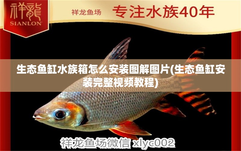 生態(tài)魚缸水族箱怎么安裝圖解圖片(生態(tài)魚缸安裝完整視頻教程) 魚缸/水族箱