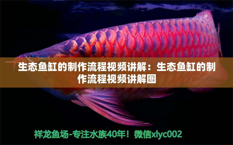 生態(tài)魚缸的制作流程視頻講解：生態(tài)魚缸的制作流程視頻講解圖