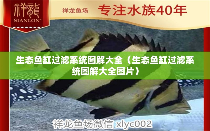 生態(tài)魚缸過濾系統(tǒng)圖解大全（生態(tài)魚缸過濾系統(tǒng)圖解大全圖片） 其他品牌魚缸