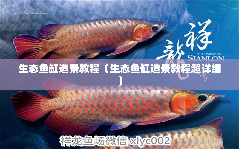 生態(tài)魚缸造景教程（生態(tài)魚缸造景教程超詳細） 祥龍水族醫(yī)院