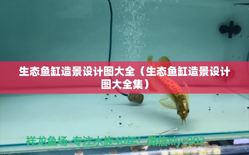 生態(tài)魚缸造景設(shè)計圖大全（生態(tài)魚缸造景設(shè)計圖大全集） 進(jìn)口元寶鳳凰魚