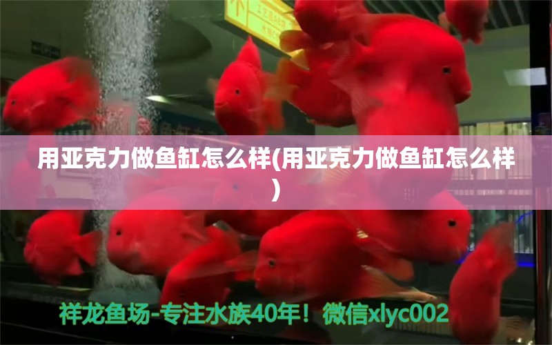 用亞克力做魚缸怎么樣(用亞克力做魚缸怎么樣) 紅勾銀版魚