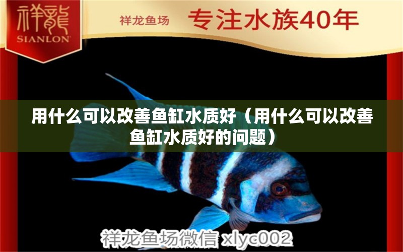 用什么可以改善魚缸水質(zhì)好（用什么可以改善魚缸水質(zhì)好的問題） 其他品牌魚缸