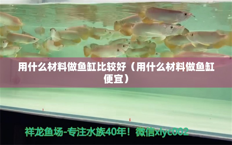 用什么材料做魚缸比較好（用什么材料做魚缸便宜） 創(chuàng)寧水族