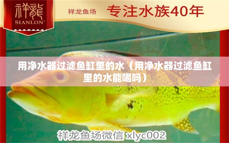 用凈水器過濾魚缸里的水（用凈水器過濾魚缸里的水能喝嗎）