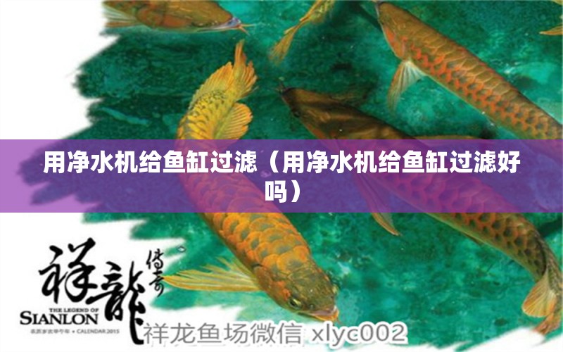 用凈水機給魚缸過濾（用凈水機給魚缸過濾好嗎）