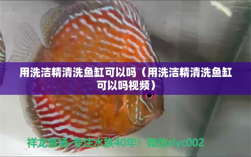 用洗潔精清洗魚(yú)缸可以嗎（用洗潔精清洗魚(yú)缸可以嗎視頻）