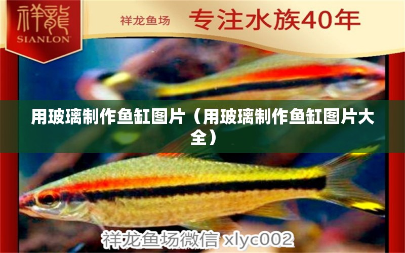 用玻璃制作魚缸圖片（用玻璃制作魚缸圖片大全）