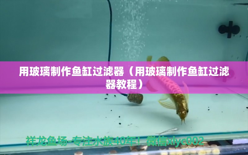 用玻璃制作魚缸過濾器（用玻璃制作魚缸過濾器教程）