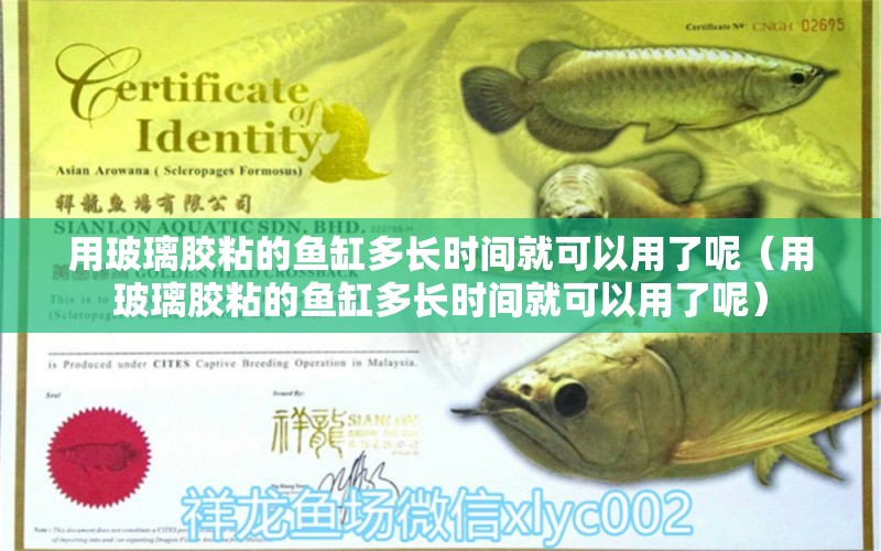 用玻璃膠粘的魚缸多長時間就可以用了呢（用玻璃膠粘的魚缸多長時間就可以用了呢）