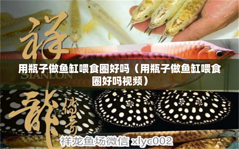 用瓶子做魚缸喂食圈好嗎（用瓶子做魚缸喂食圈好嗎視頻）