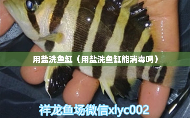 用鹽洗魚缸（用鹽洗魚缸能消毒嗎）