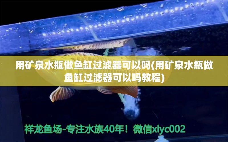 用礦泉水瓶做魚缸過濾器可以嗎(用礦泉水瓶做魚缸過濾器可以嗎教程) 飛鳳魚