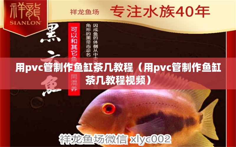 用pvc管制作魚缸茶幾教程（用pvc管制作魚缸茶幾教程視頻）