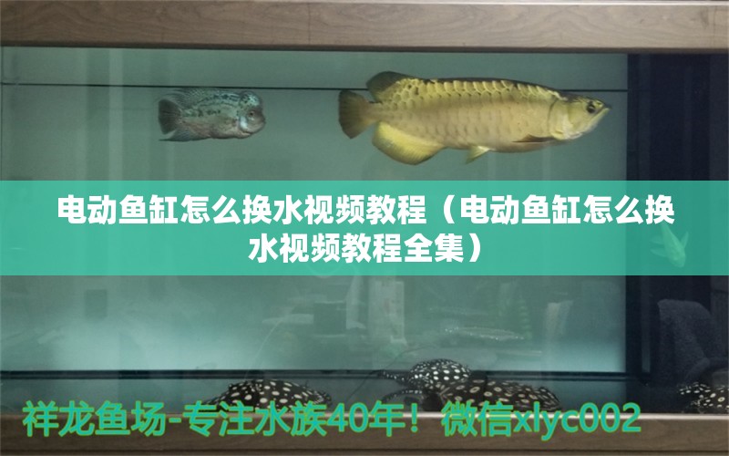 電動(dòng)魚缸怎么換水視頻教程（電動(dòng)魚缸怎么換水視頻教程全集） 祥龍水族醫(yī)院