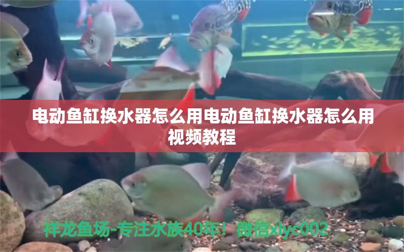 電動魚缸換水器怎么用電動魚缸換水器怎么用視頻教程 定時器/自控系統(tǒng) 第1張