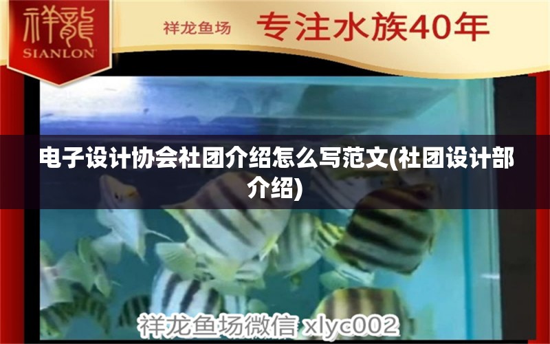 電子設計協(xié)會社團介紹怎么寫范文(社團設計部介紹) 星點金龍魚