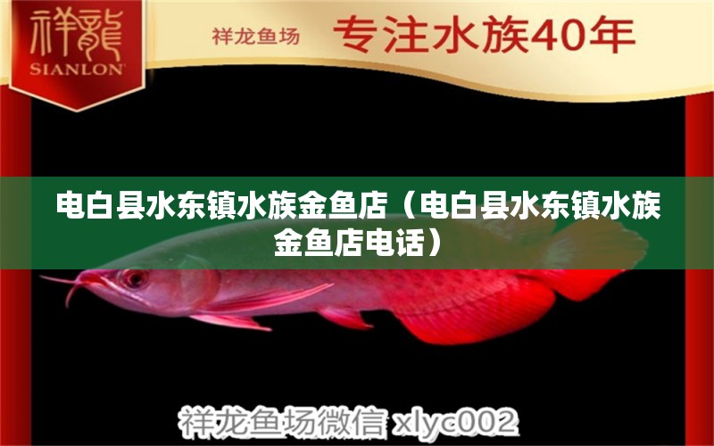 電白縣水東鎮(zhèn)水族金魚(yú)店（電白縣水東鎮(zhèn)水族金魚(yú)店電話） 全國(guó)水族館企業(yè)名錄