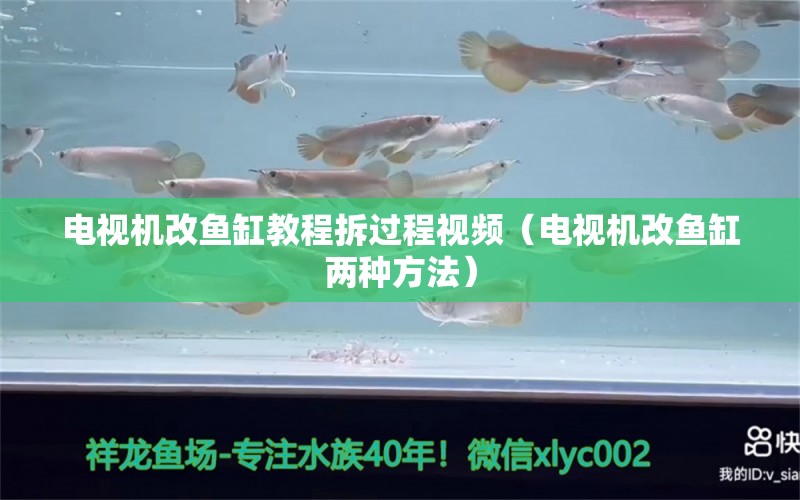 電視機改魚缸教程拆過程視頻（電視機改魚缸兩種方法） 祥龍藍(lán)珀金龍魚