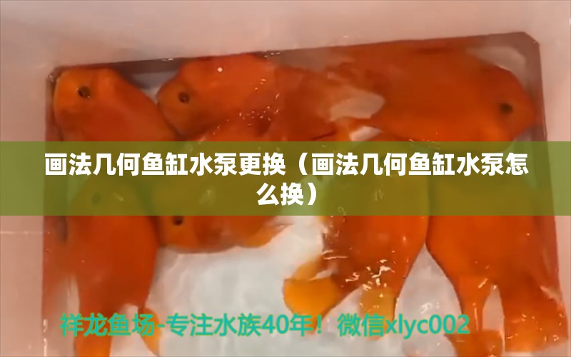 畫法幾何魚缸水泵更換（畫法幾何魚缸水泵怎么換） 魚缸水泵