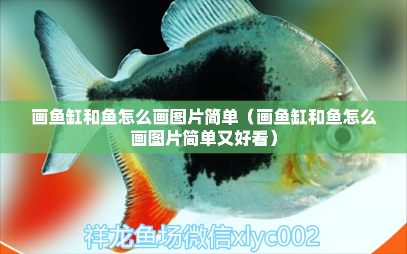 畫魚缸和魚怎么畫圖片簡單（畫魚缸和魚怎么畫圖片簡單又好看）