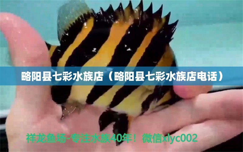 略陽(yáng)縣七彩水族店（略陽(yáng)縣七彩水族店電話） 全國(guó)水族館企業(yè)名錄