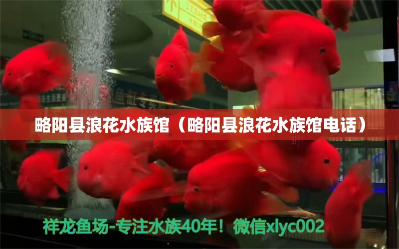 略陽縣浪花水族館（略陽縣浪花水族館電話）