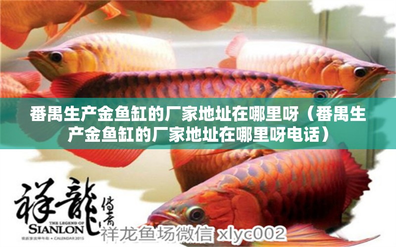 番禺生產(chǎn)金魚(yú)缸的廠家地址在哪里呀（番禺生產(chǎn)金魚(yú)缸的廠家地址在哪里呀電話）