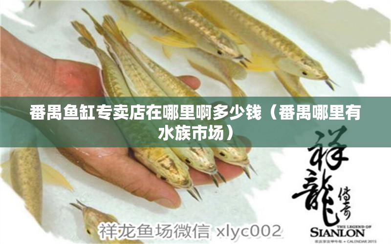 番禺魚缸專賣店在哪里啊多少錢（番禺哪里有水族市場）