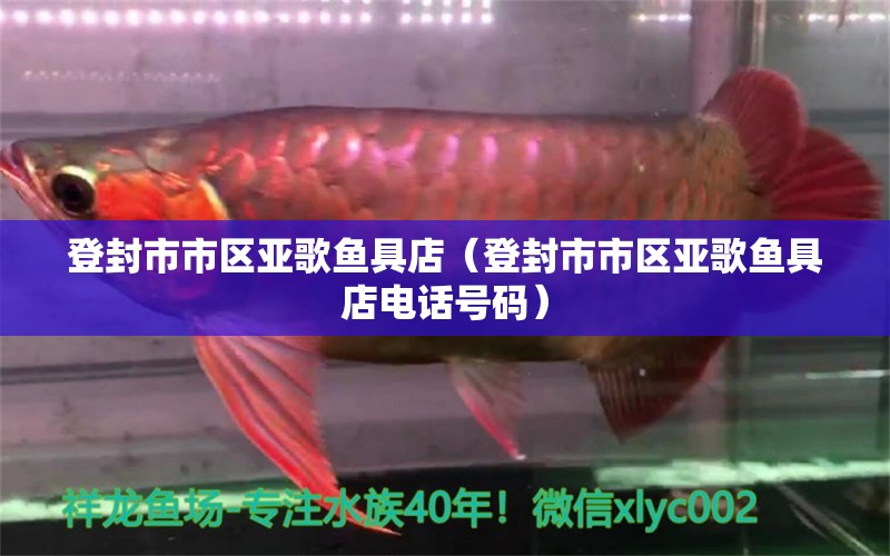 登封市市區(qū)亞歌魚具店（登封市市區(qū)亞歌魚具店電話號碼）