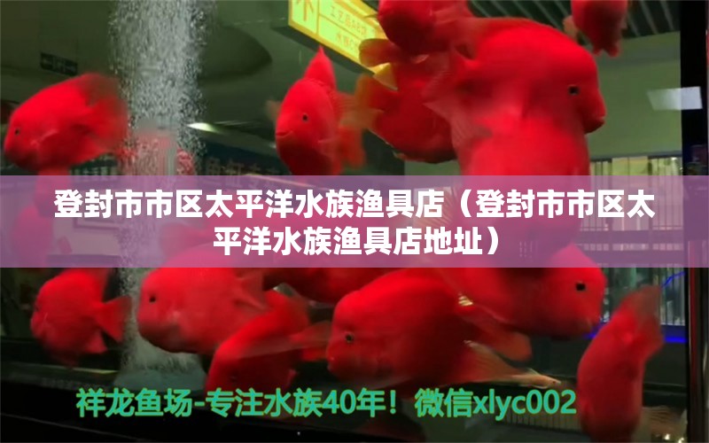 登封市市區(qū)太平洋水族漁具店（登封市市區(qū)太平洋水族漁具店地址）