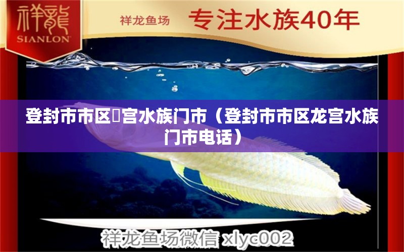 登封市市區(qū)龍宮水族門市（登封市市區(qū)龍宮水族門市電話） 全國水族館企業(yè)名錄