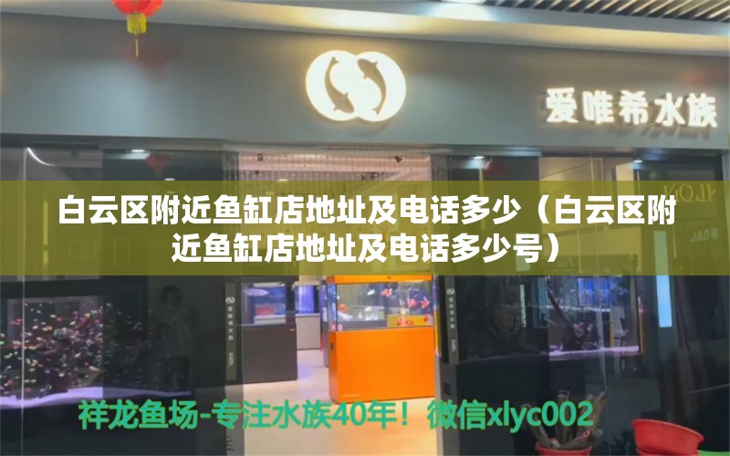 白云區(qū)附近魚缸店地址及電話多少（白云區(qū)附近魚缸店地址及電話多少號） 祥龍水族醫(yī)院