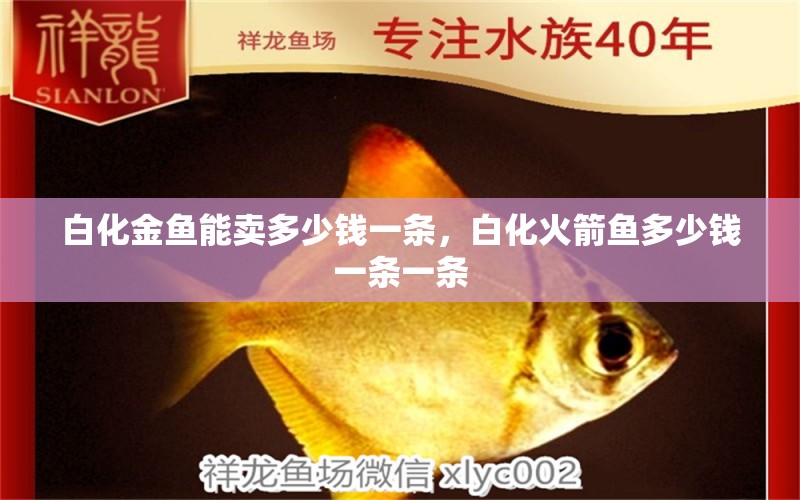 白化金魚能賣多少錢一條，白化火箭魚多少錢一條一條