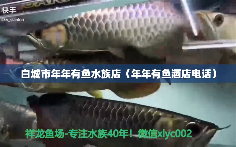 白城市年年有魚(yú)水族店（年年有魚(yú)酒店電話）