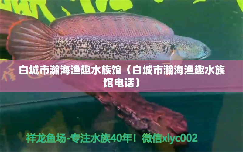 白城市瀚海漁趣水族館（白城市瀚海漁趣水族館電話） 全國(guó)水族館企業(yè)名錄