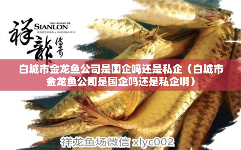 白城市金龍魚(yú)公司是國(guó)企嗎還是私企（白城市金龍魚(yú)公司是國(guó)企嗎還是私企?。? title=